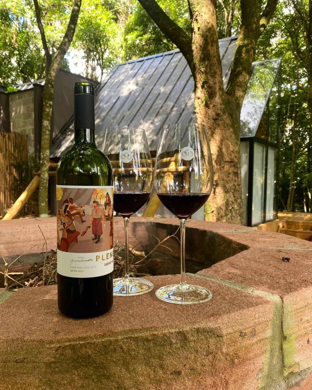Marzarotto Vinhas & Vinhos